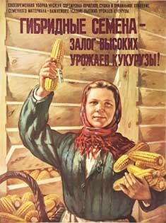 Плакат СССР "Гибридные семена — залог высоких урожаев кукурузы!" (1956 г.)